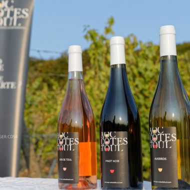 Aoc Côtes de Toul
