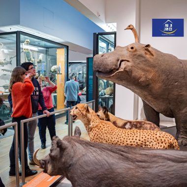 Muséum Aquarium de Nancy