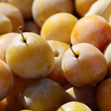 Mirabelles