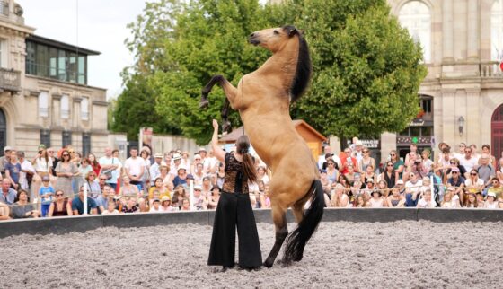 spectacle de cheval à Lunéville