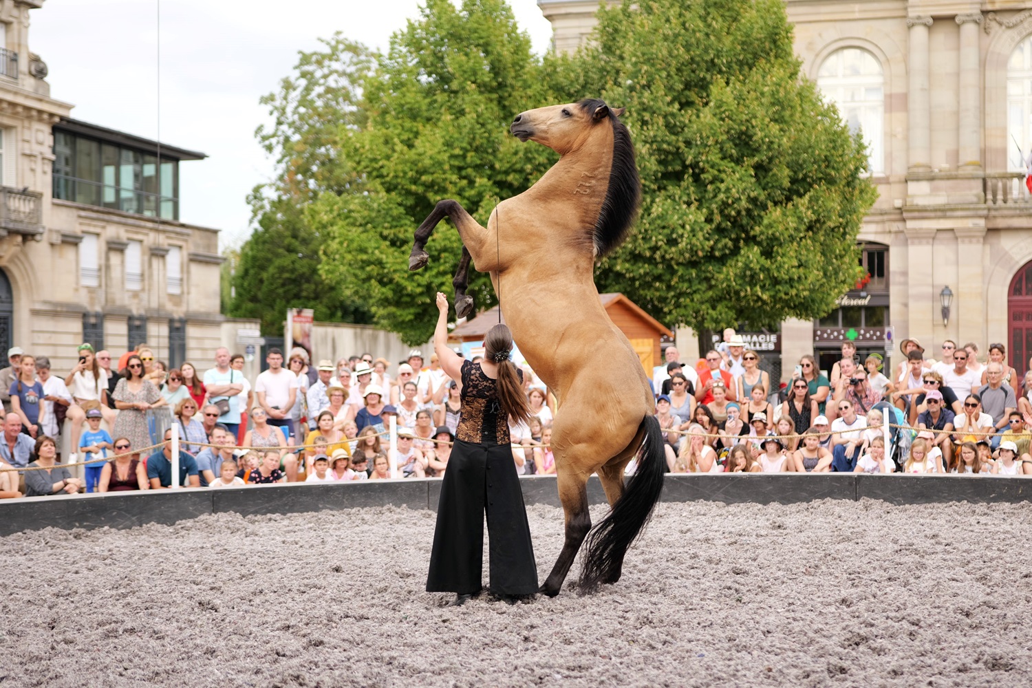 spectacle équestre à Lunéville