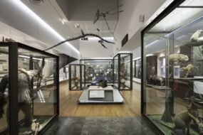 intérieur du Muséum Aquarium de Nancy