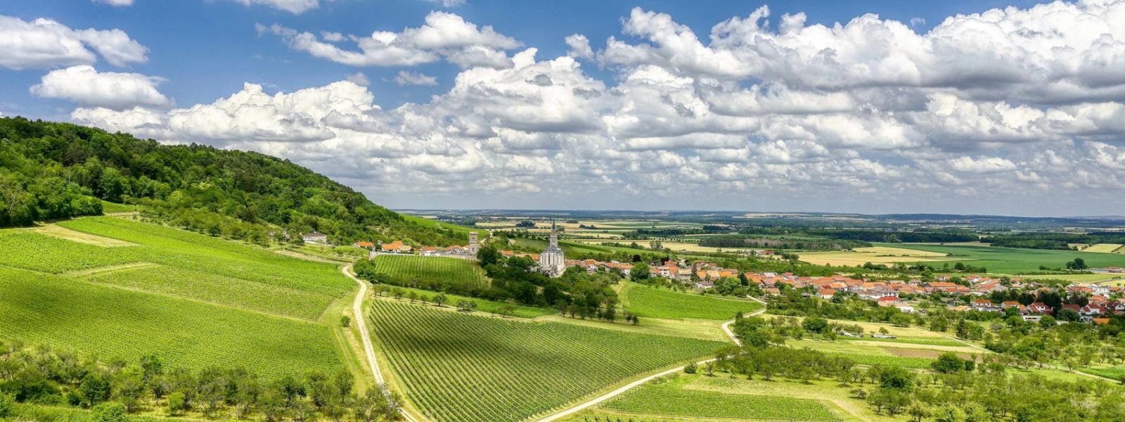 vue aérienne du vignoble des côtes de Toul