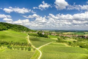 vue aérienne du vignoble des côtes de Toul
