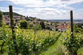 Dommartemont plateau de Malzéville