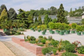 Jardin Botanique de Montet