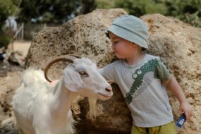 un enfant avec un animal