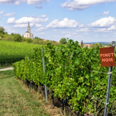 Route_Touristique_cotes_de_toul