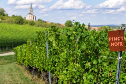 Route_Touristique_cotes_de_toul