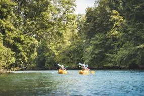 Une balade estivale en canoë-kayak sur une rivière calme en Meurthe-et-Moselle. Quatre personnes pagayent dans deux embarcations jaunes entourées d'une forêt luxuriante.