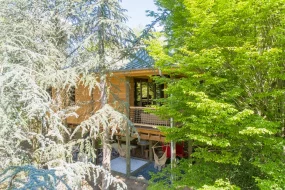 Une vue extérieure de la Pagode asiatique, un hébergement insolite et perché sur pilotis à la Pépinière (Meurthe-et-Moselle). La cabane en bois est nichée au cœur d'une forêt de cèdres et de feuillus. On distingue une terrasse aménagée avec un canapé et un luminaire, et sous la structure, deux hamacs suspendus.